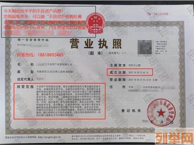 承接不良资产处置公司新注册与金融信息技术外包的协同策略