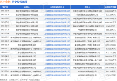 苏宁金融8138万元股权遭股东出质 金融信息技术外包业务引关注